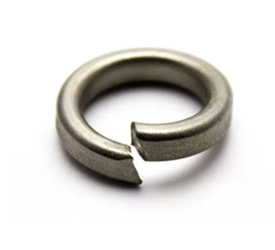 Hastelloy C22 Spring Washer